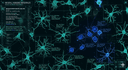 Microglia Morphology Analyzer